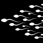 Group logo of Sperm Donors Support Group