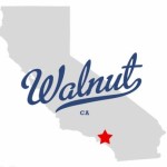 Group logo of Walnut Donor Conceived