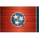 Group logo of Tennessee Donor Conceived